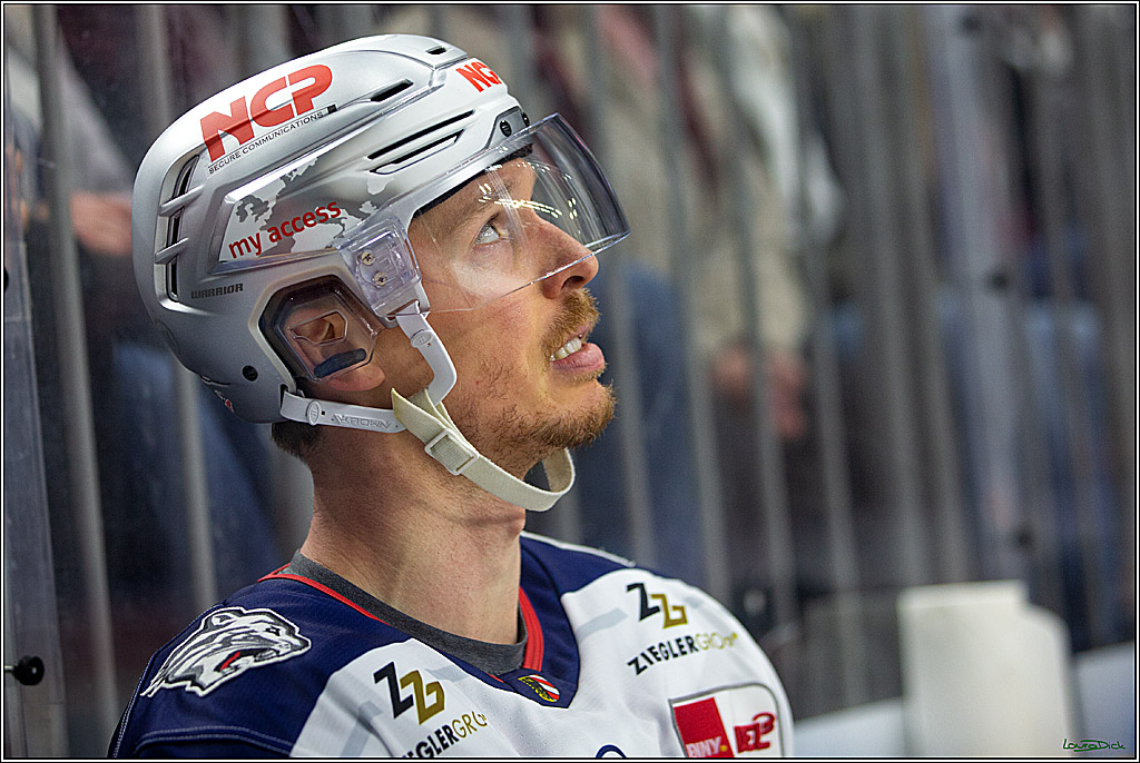 PENNY DEL; Koelner Haie- Nuernberger Ice Tigers; Koeln, 29.01.2023